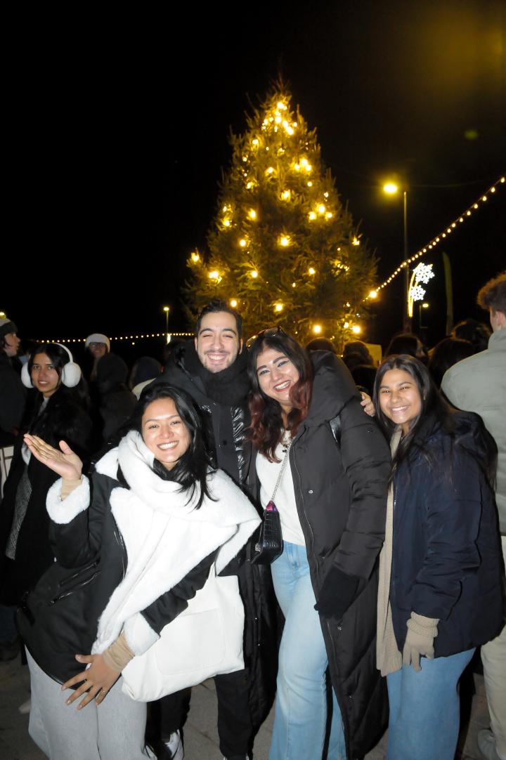 Christmas at Warwick